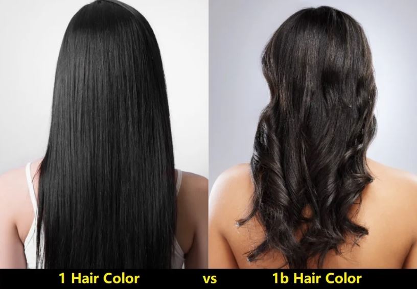 1b vs 1 hair color