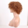 Copper Deep Curly Wigs