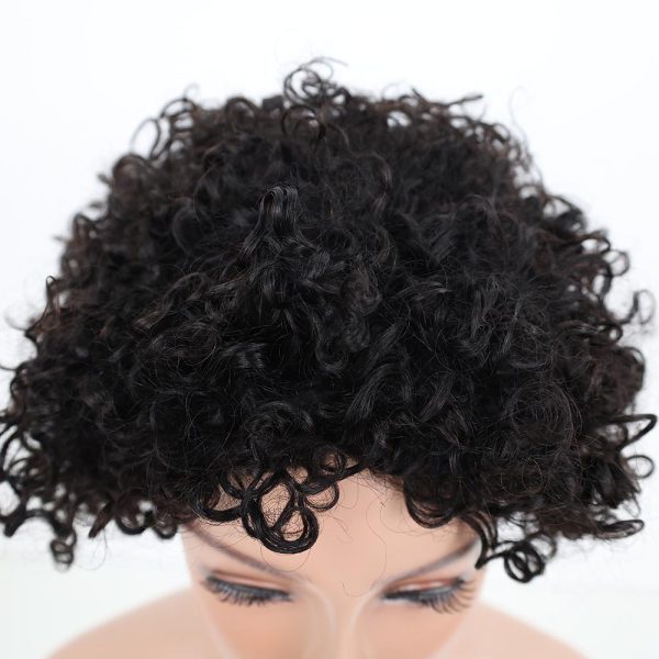 Pixie Wigs Curly