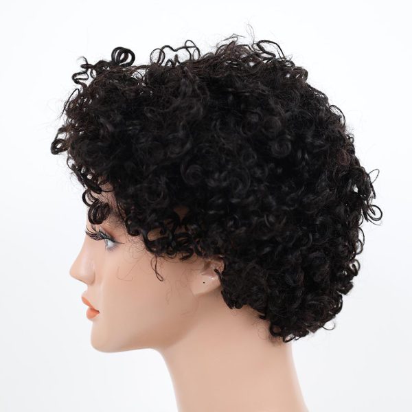Pixie Wigs Curly