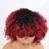 Bigghair 12 Inch Burgundy Curly & Natural #1B/Bur Wigs 180% Density