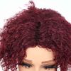 Bigghair 10 Inch Burgundy Deep Curly #99J Wigs 180% Density