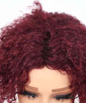 Bigghair 10 Inch Burgundy Deep Curly #99J Wigs 180% Density