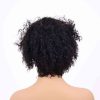 Bigghair 10 Inch Natural Loose Curly #1B Wigs 180% Density