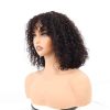 Bigghair 12 Inch Vertex Lace Curly & Natural #1B Wigs 180% Density