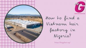 find a Vietnam hair factory in Nigeria