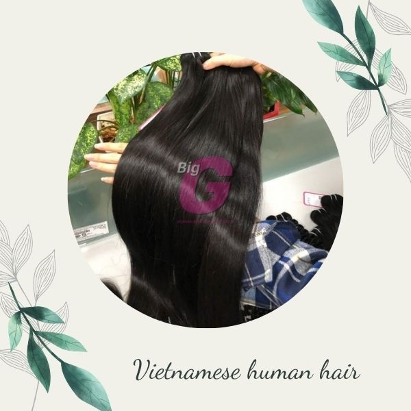 Vietnamese human hair is known for its purity and smoothness