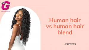 Difference between human hair and human hair blend