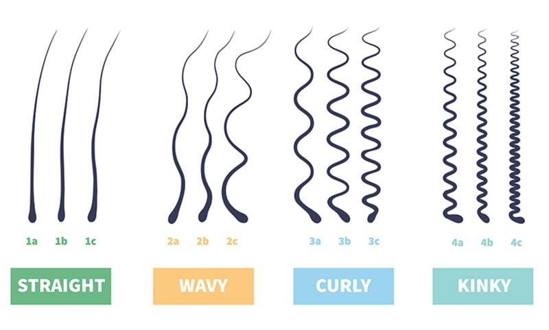 4 main hair types