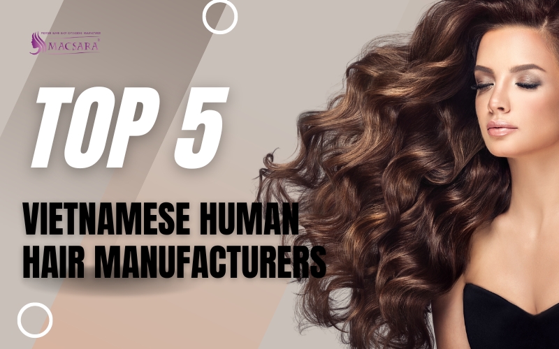 Top 5 Reliable Vietnamese Human Hair Extension Manufacturers